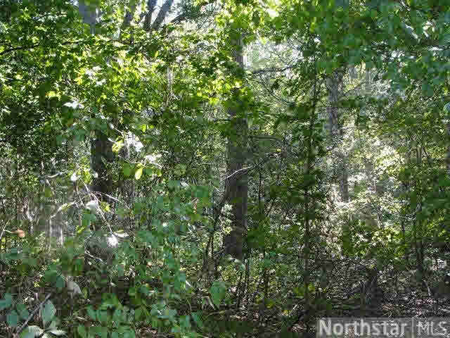 Xxx Xxx Cty Road Cushing, WI 54006 - Photo 8 of 9 Gallery Image 8