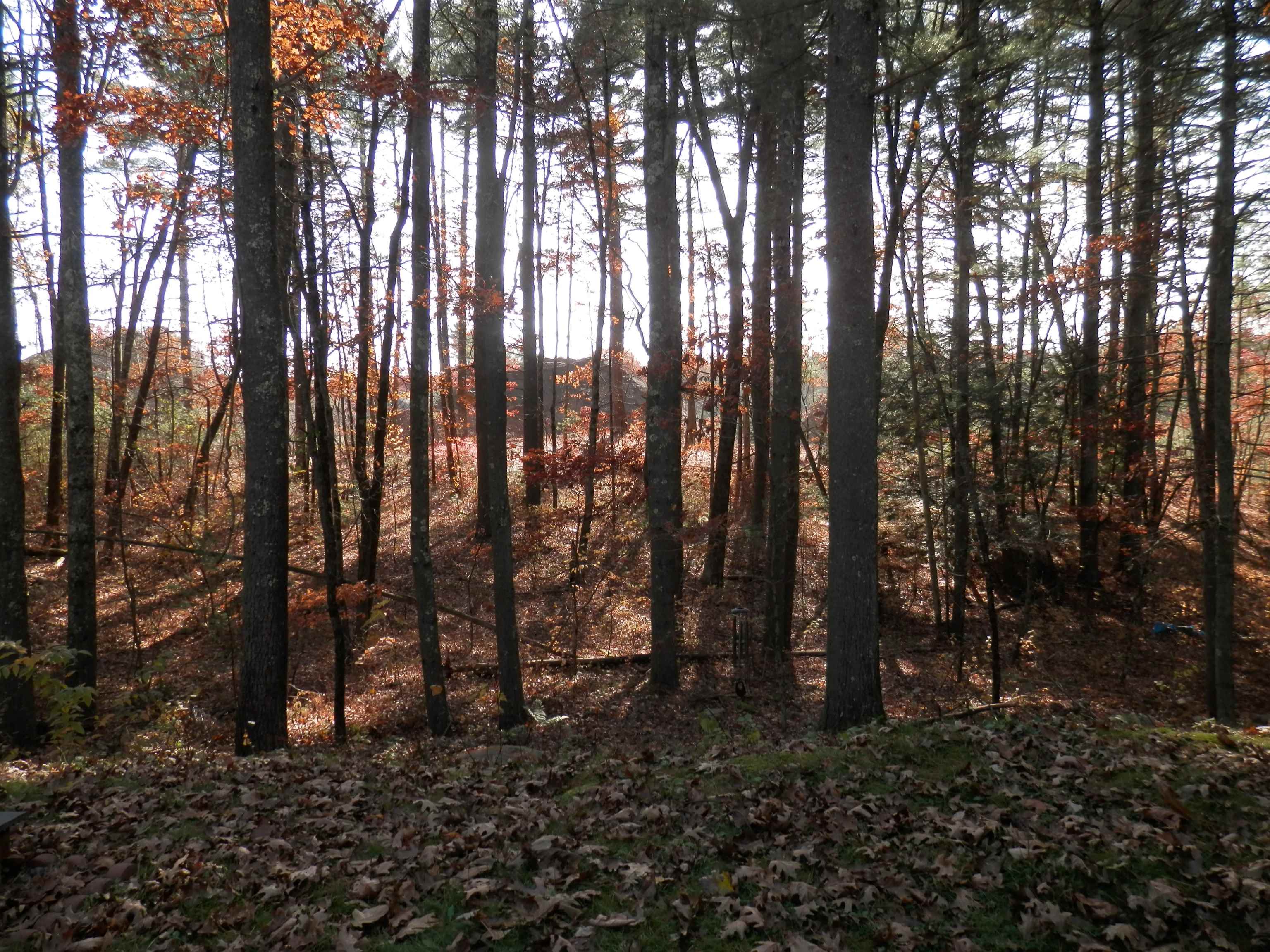 79 Adams Road Londonderry, NH 03053 - Photo 20 of 26