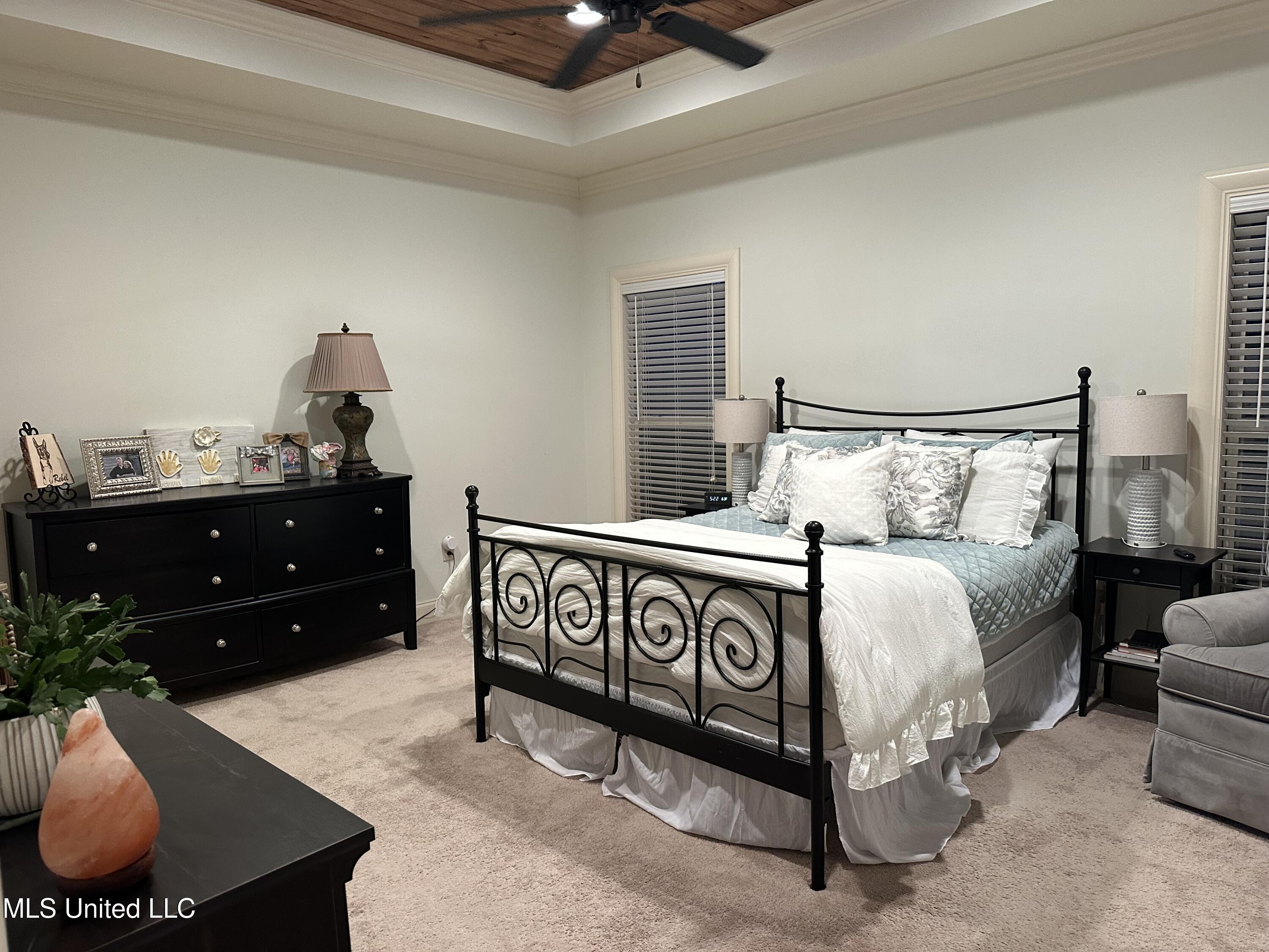 910 Abundance Crossing Flowood, MS 39232 - Photo 19 of 30 IMG_9447