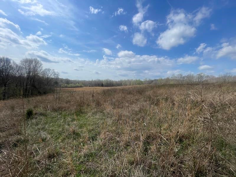 9356 Caneyville Road Morgantown, KY 42261 - Photo 16 of 23 Gallery Image 16