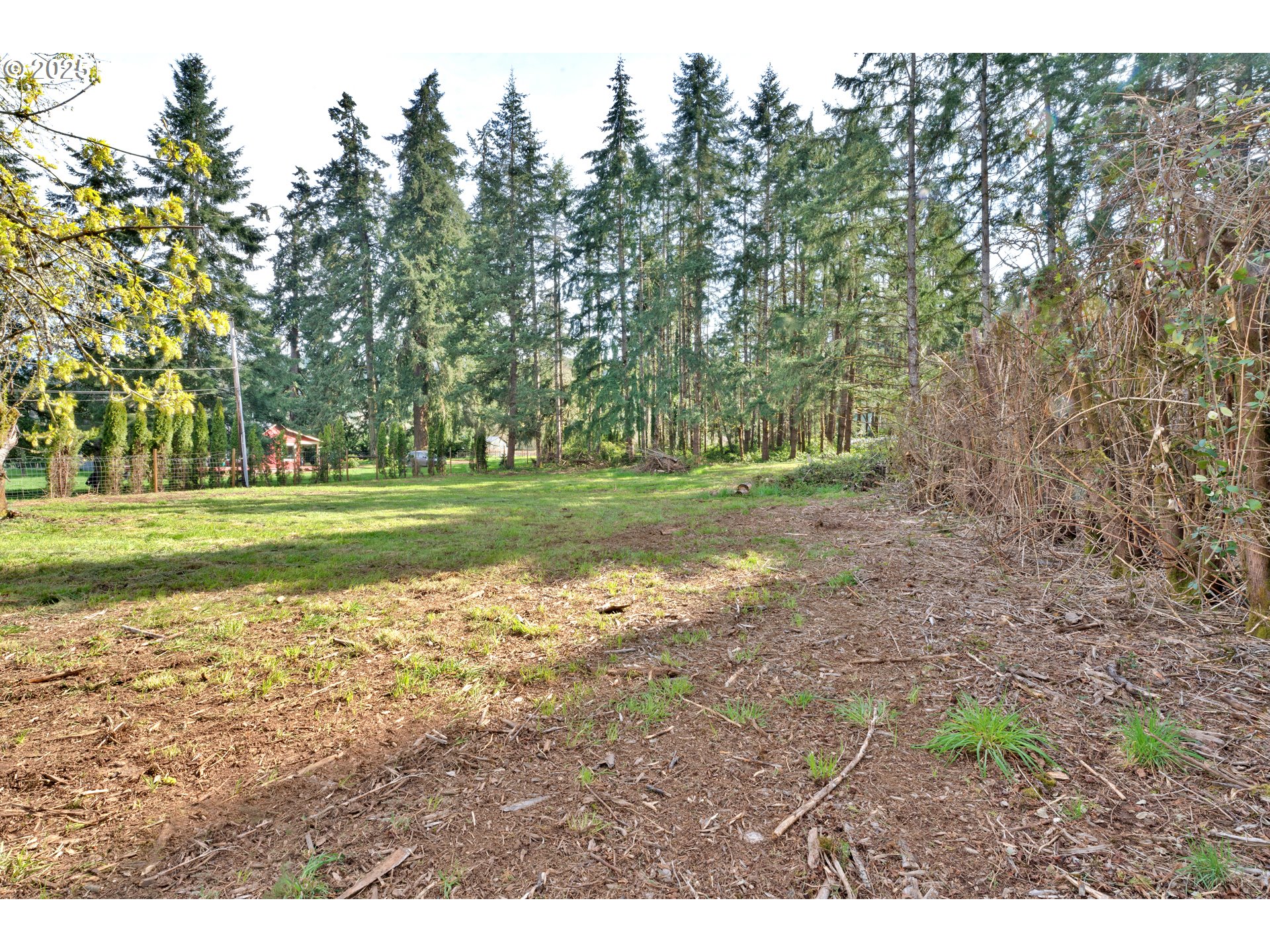 34520 Mathews Road Eugene, OR 97405 - Photo 33 of 42 a view of a golf course with a park