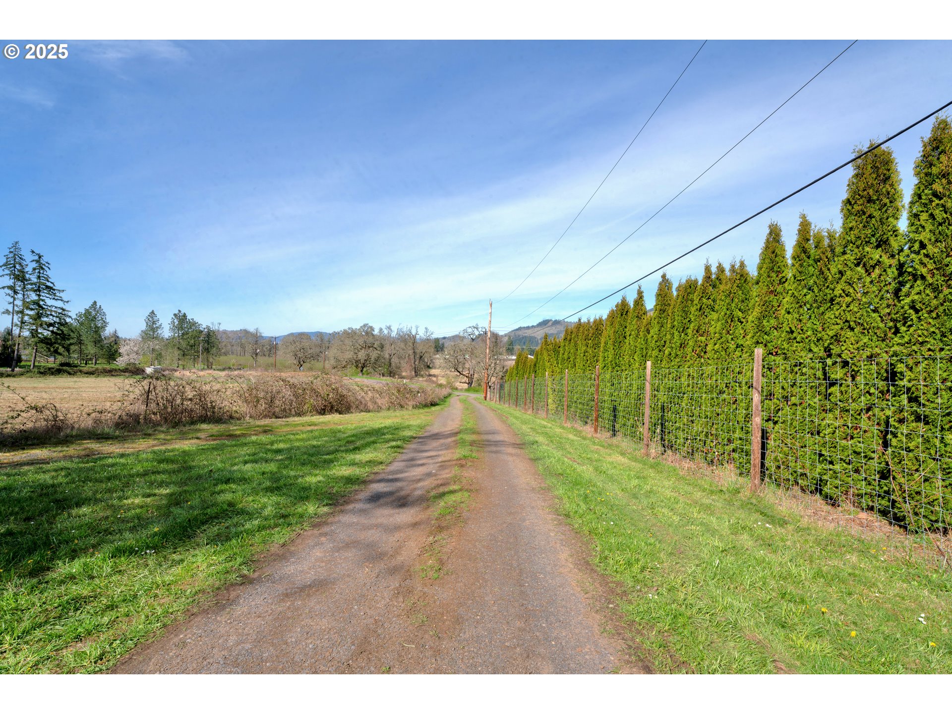 34520 Mathews Road Eugene, OR 97405 - Photo 34 of 42 a view of a yard with an outdoor space
