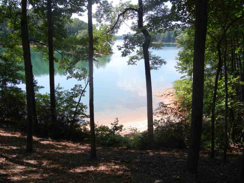 Peninsula Ridge, Unit P 12 Sunset, SC 29685 - Photo 3 of 13 Gallery Image 3