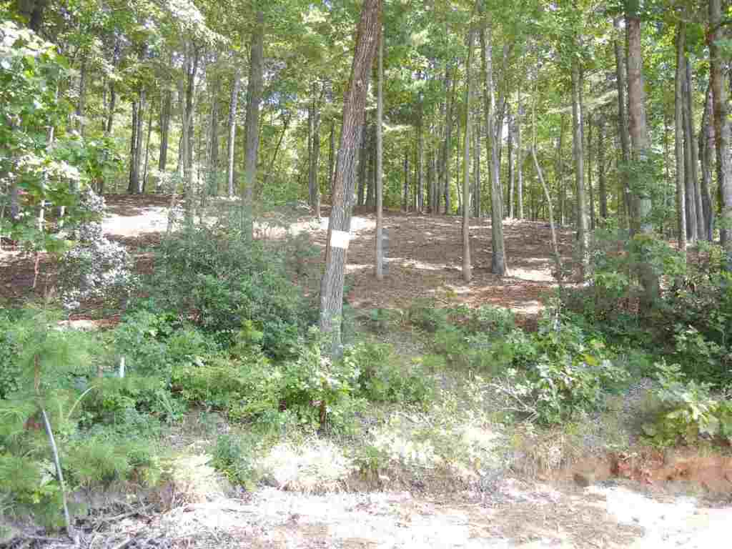 Peninsula Ridge, Unit P 12 Sunset, SC 29685 - Photo 5 of 13 Gallery Image 5