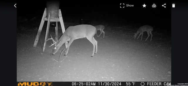 $510,000 | 11211 Fm 2779, Moore, TX 78057