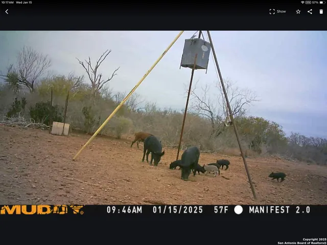 $510,000 | 11211 Fm 2779, Moore, TX 78057