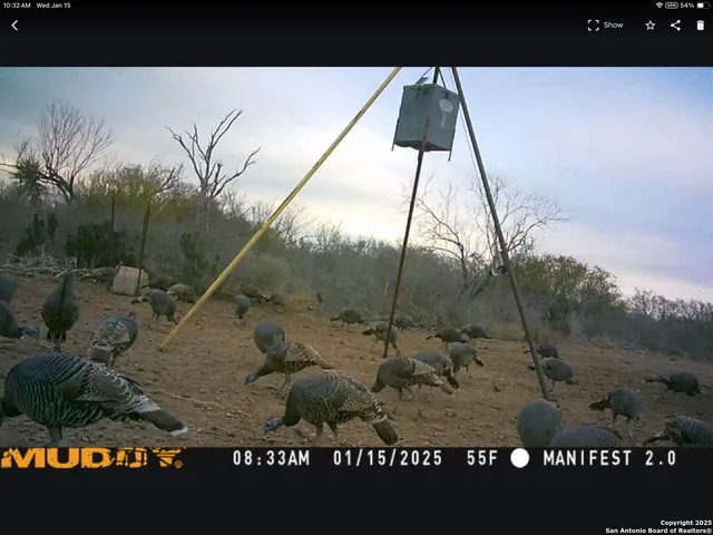 $510,000 | 11211 Fm 2779, Moore, TX 78057