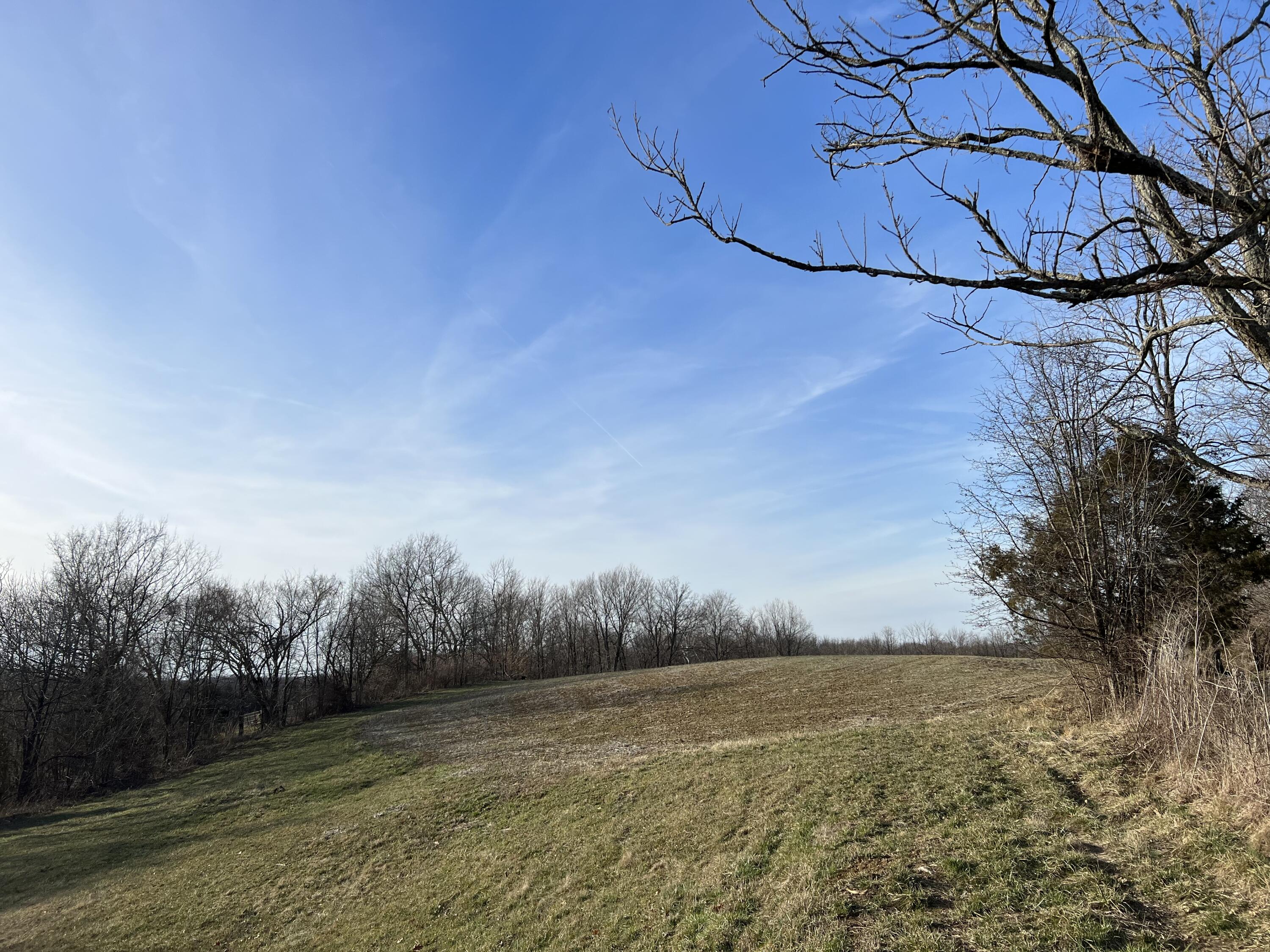 0 Elizaville Road Ewing, KY 41039 - Photo 4 of 11 D097609D-E0C7-44D5-AC07-4DB2A930135C