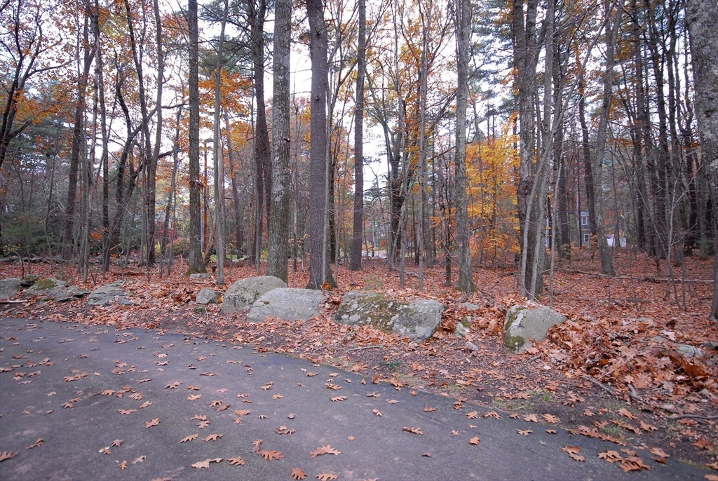 869 Burroughs Road Boxborough, MA 01719 - Photo 15 of 19 a backyard of a house with lots of trees