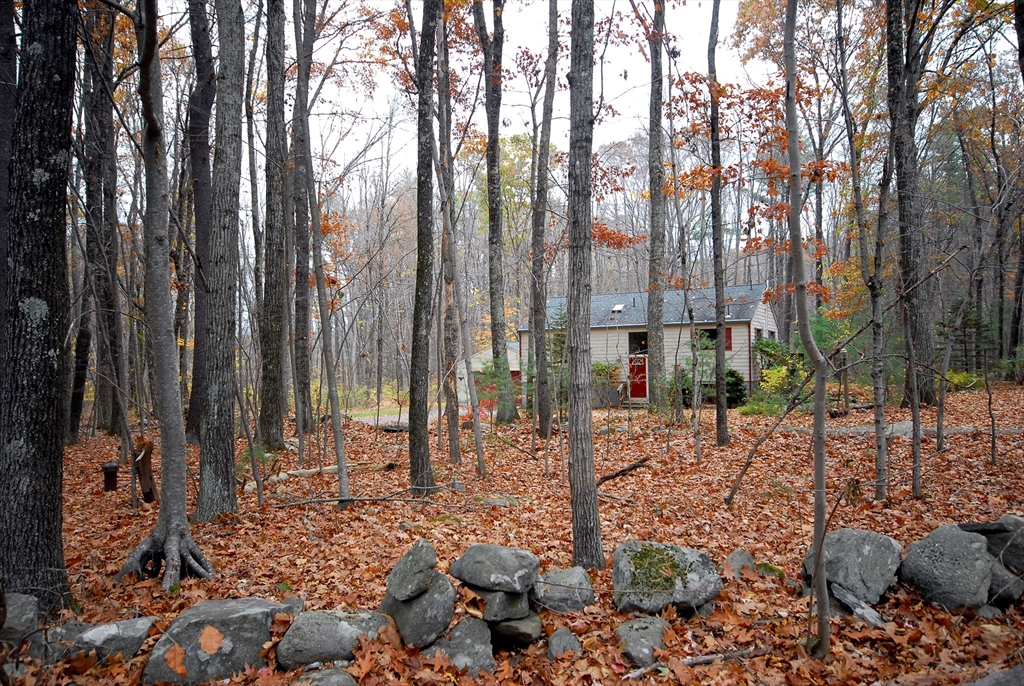 869 Burroughs Road Boxborough, MA 01719 - Photo 19 of 19 a view of a backyard