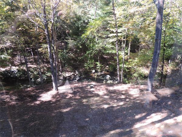 12 Alden Thrasher Road Monson, MA 01057 - Photo 15 of 26 a view of a forest with trees