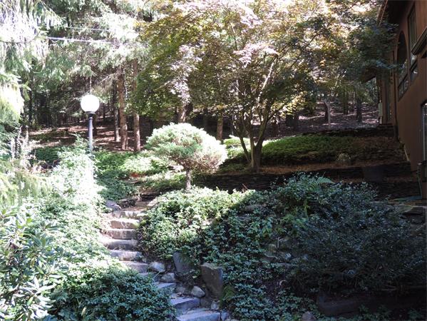 12 Alden Thrasher Road Monson, MA 01057 - Photo 9 of 26 a garden with lots of trees