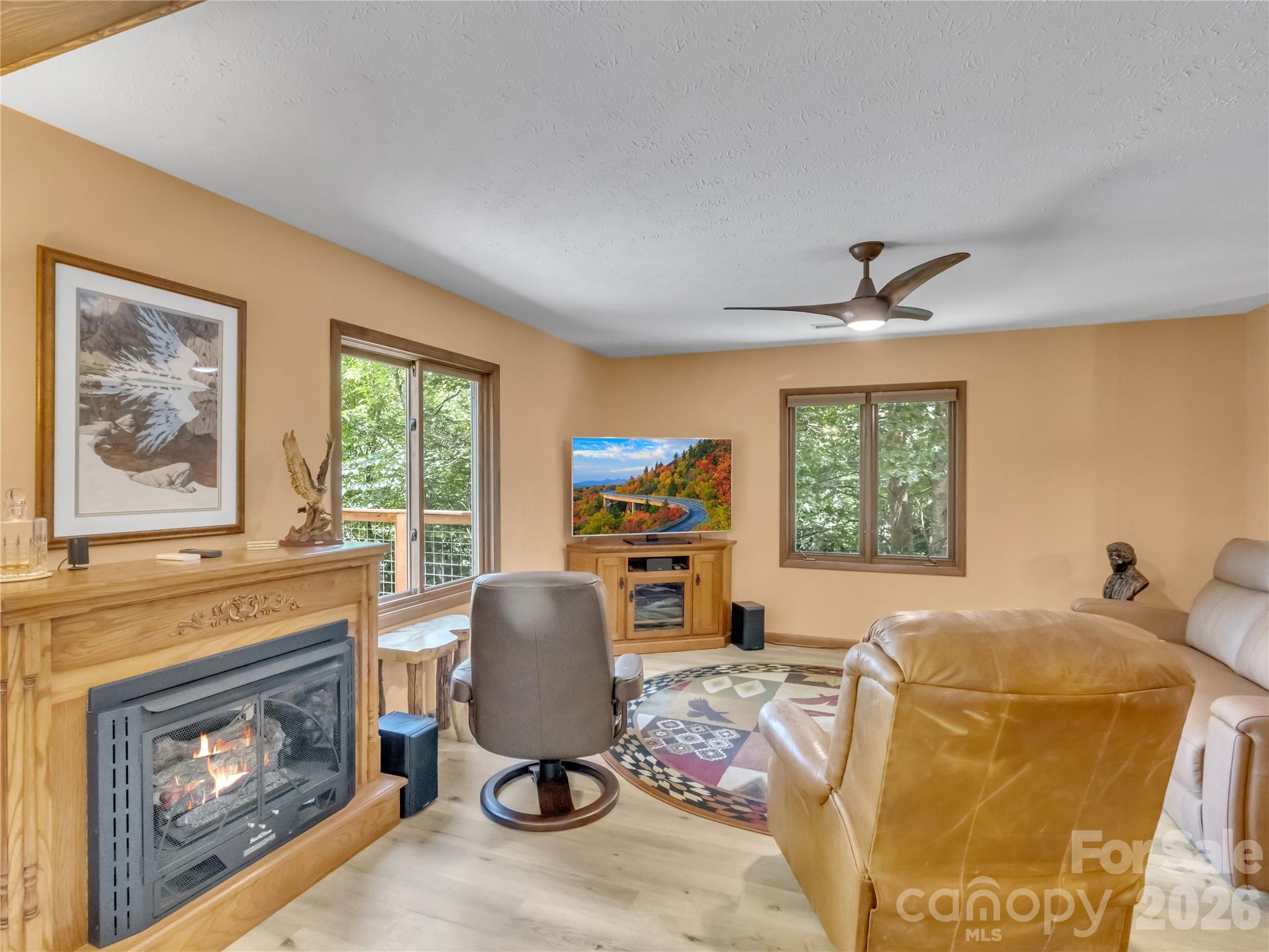 372 Shady Ridge Road Waynesville, NC 28785 - Photo 7 of 45