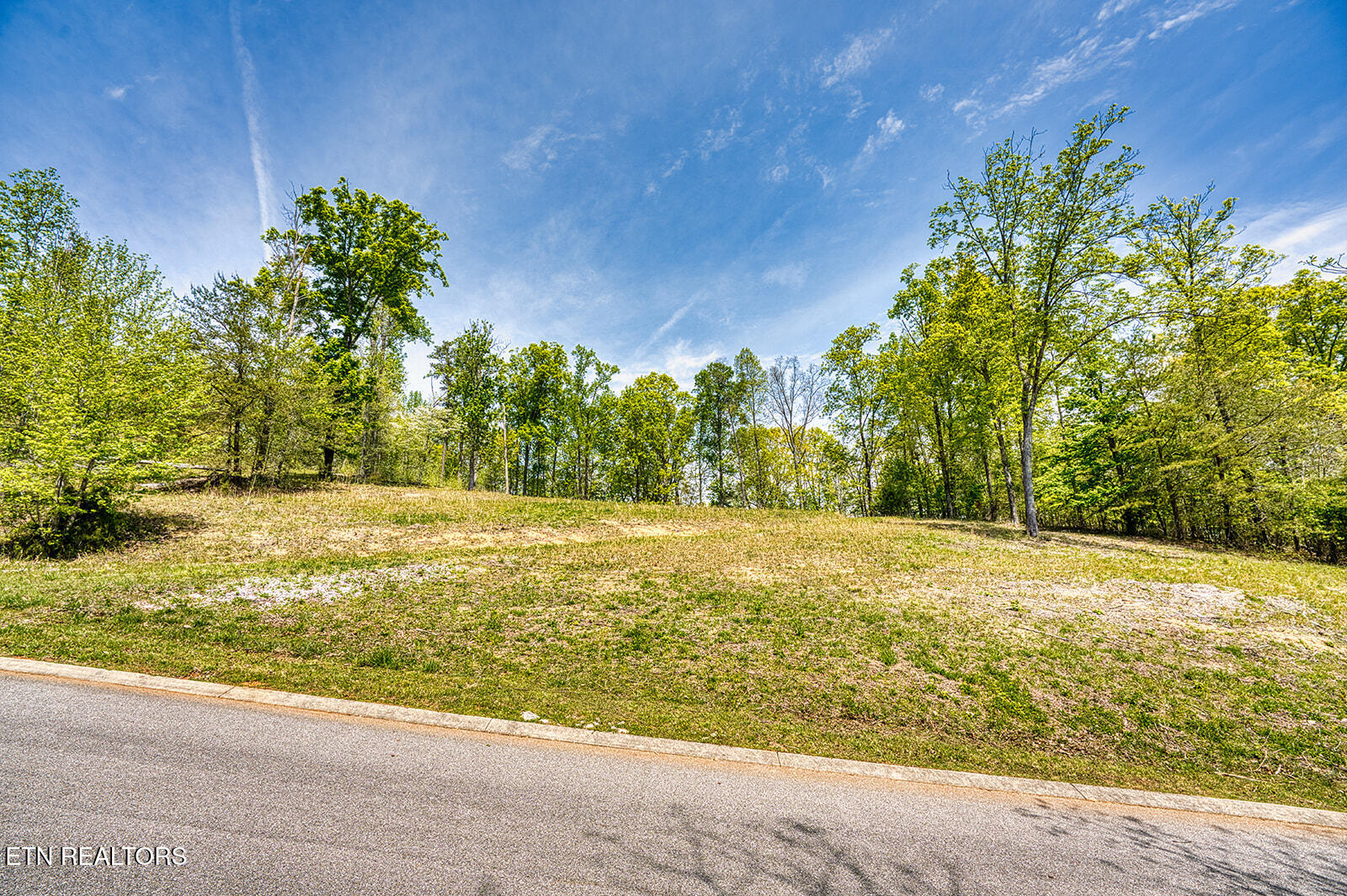 Lot 2-b & 3 Sheerwater Road Kingston, TN 37763 - Photo 11 of 15 DSC00160_LuminarNeo-edit