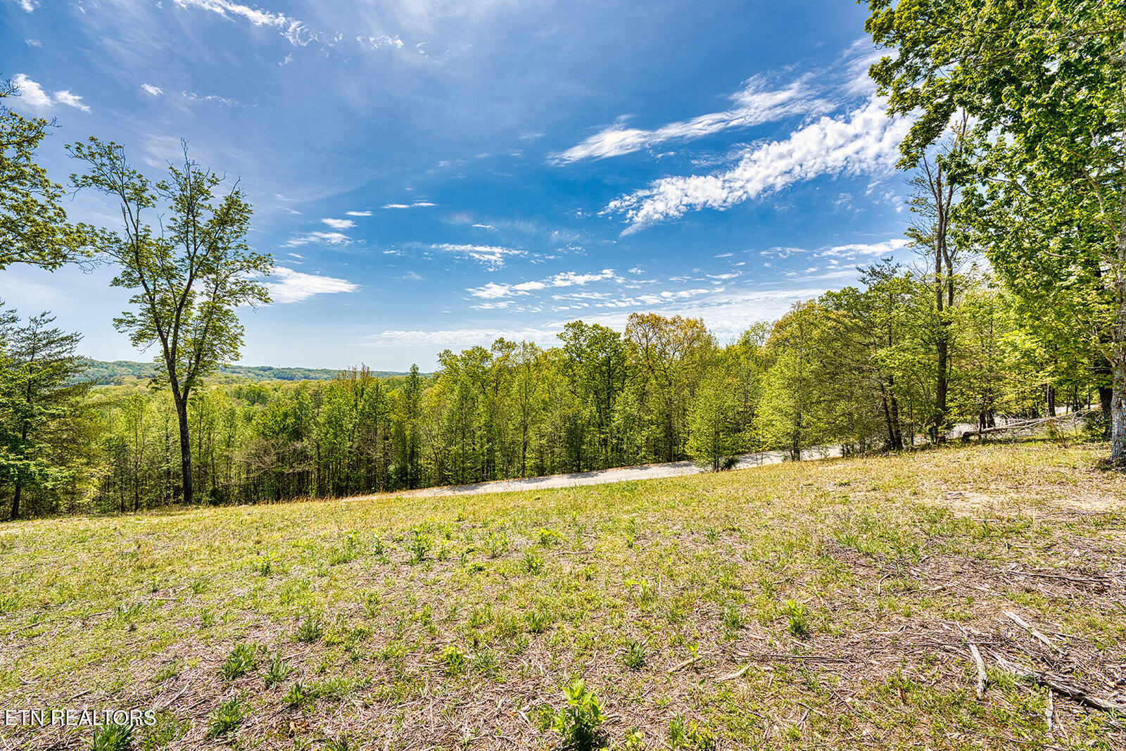 Lot 2-b & 3 Sheerwater Road Kingston, TN 37763 - Photo 12 of 15 DSC00175_LuminarNeo-edit