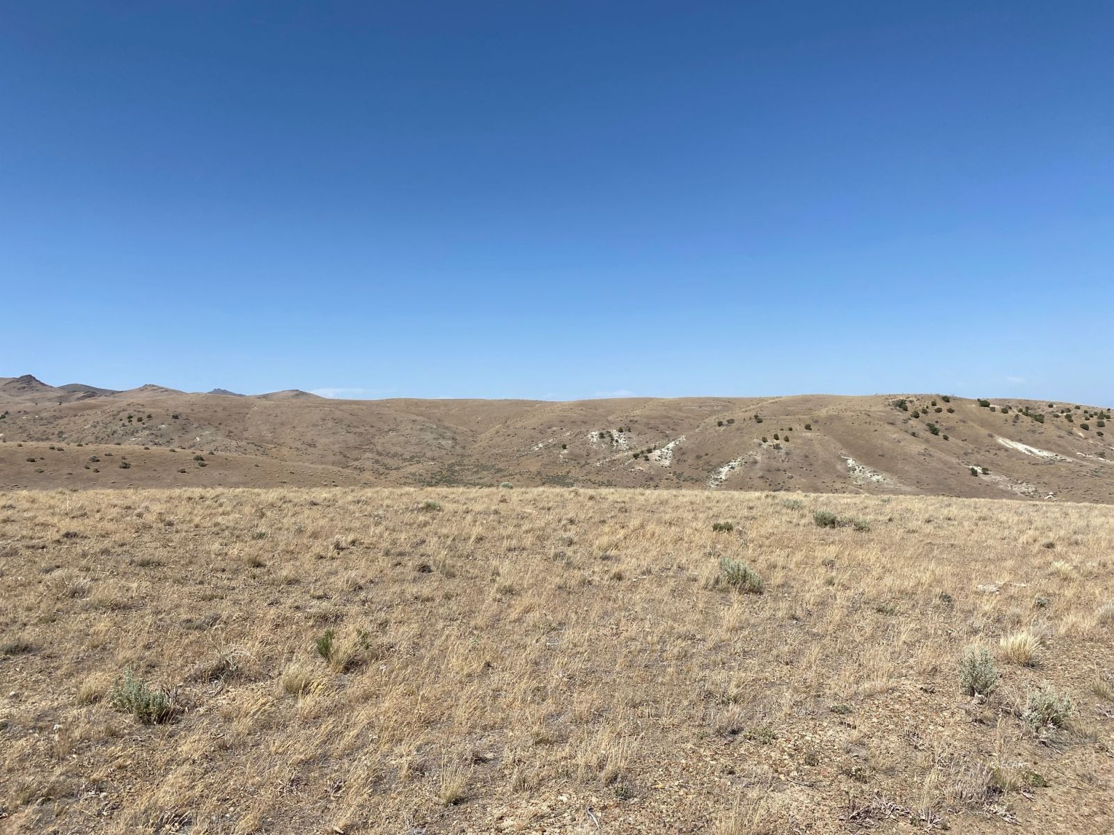 Yarrow Street Elko, NV 89801 - Photo 2 of 6