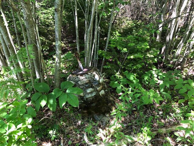 76 Labrador Lane Addison, ME 04606 - Photo 11 of 20 IMG_2415
