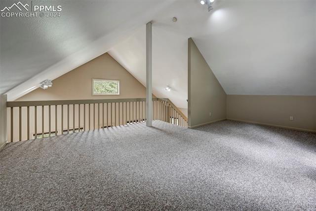 10070 Wildwood Road Cascade, CO 80809 - Photo 25 of 47 Gallery Image 25
