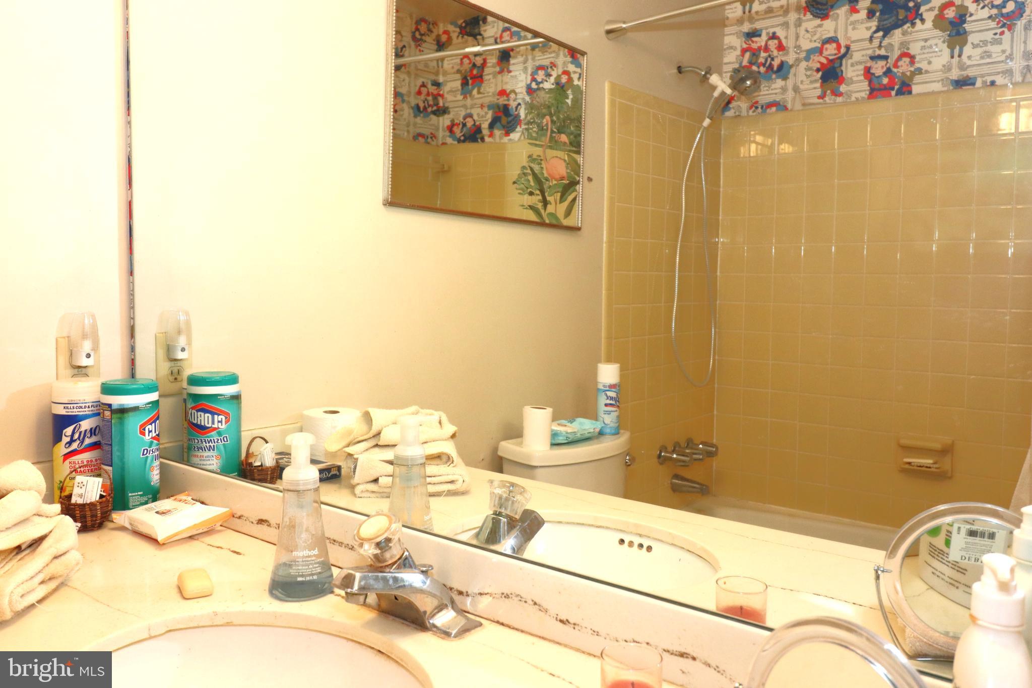 9305 Lees Ridge Road Warrenton, VA 20186 - Photo 18 of 40 Hall Bathroom