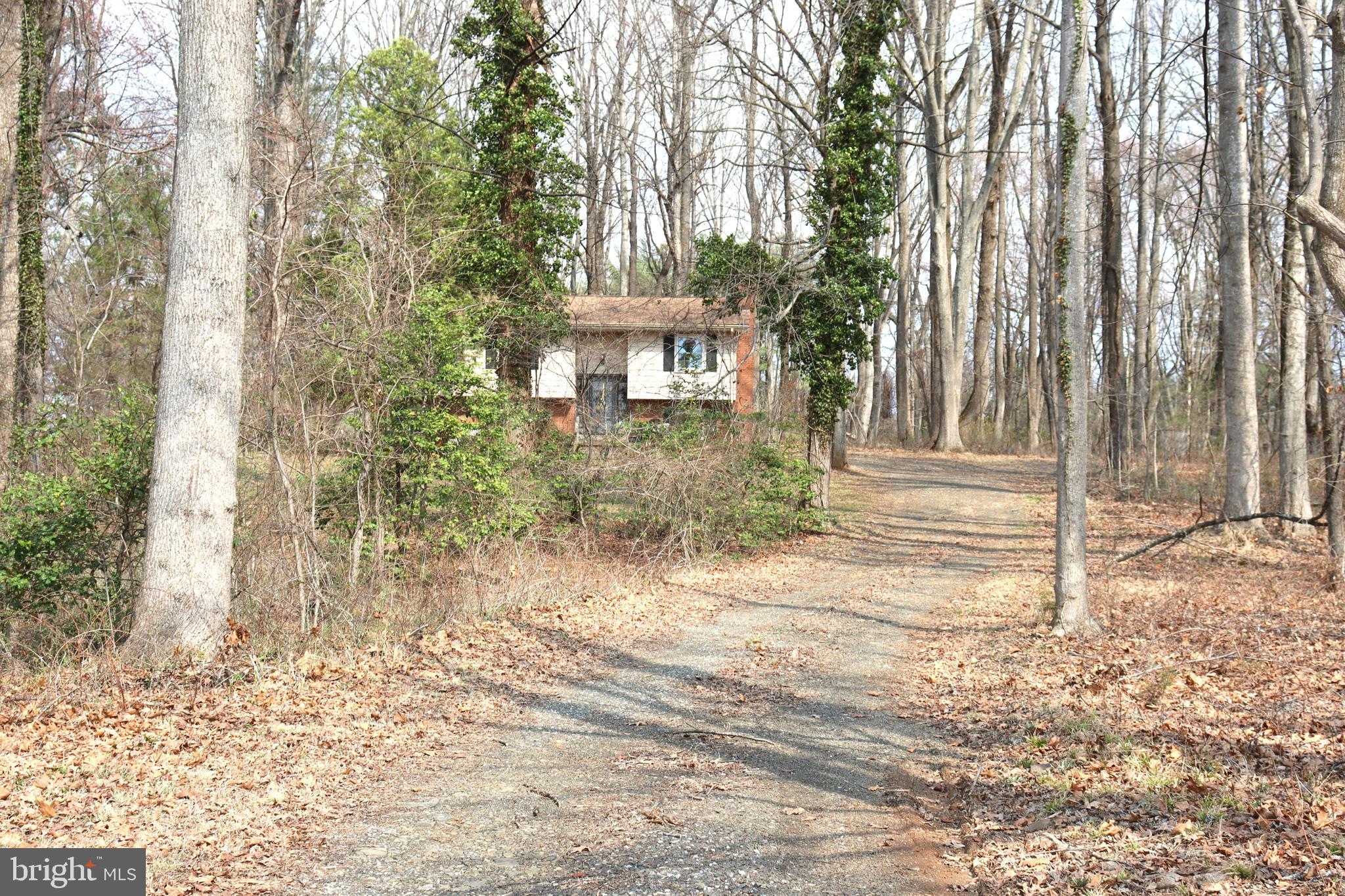 9305 Lees Ridge Road Warrenton, VA 20186 - Photo 33 of 40 View from road