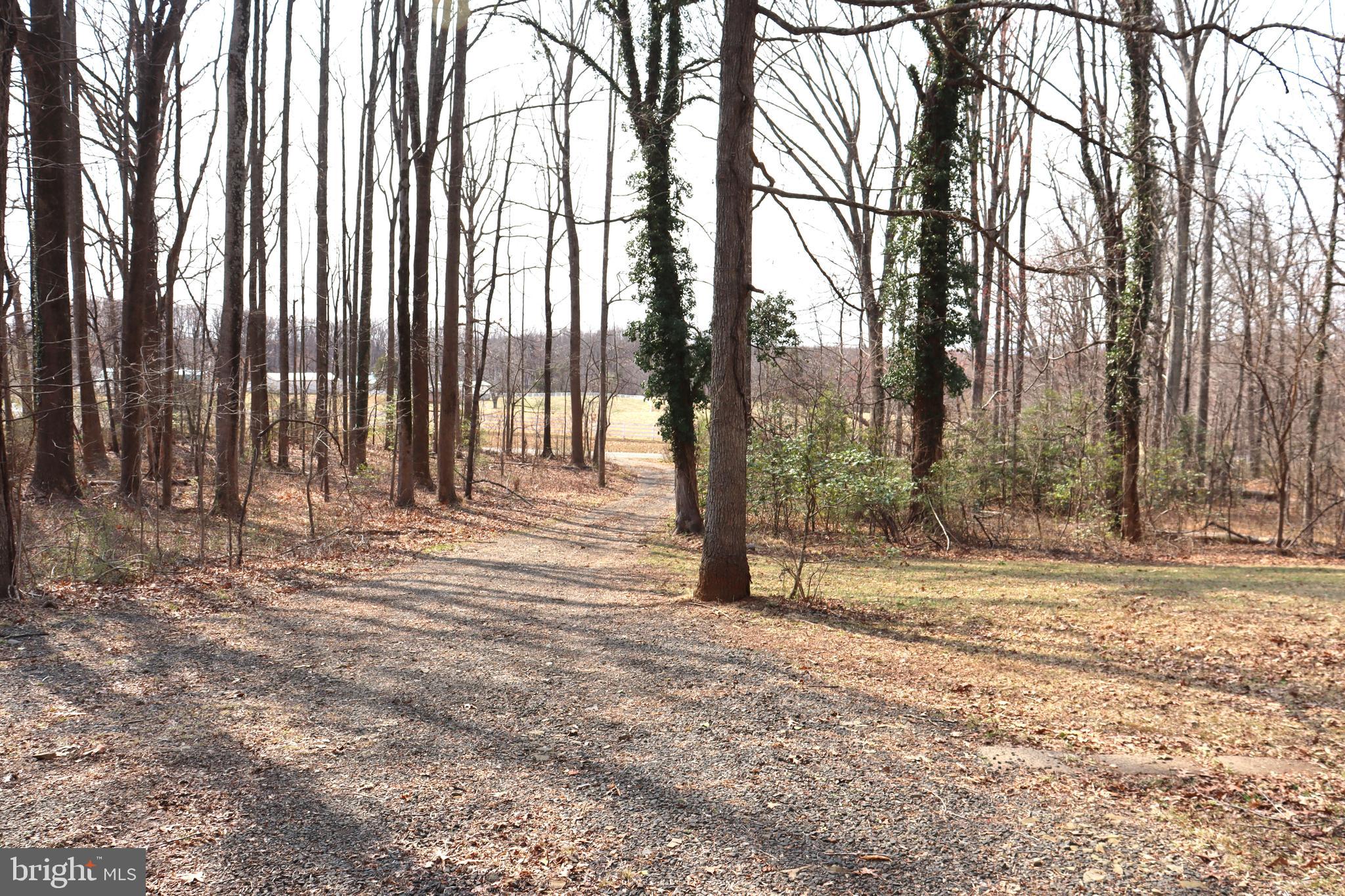 9305 Lees Ridge Road Warrenton, VA 20186 - Photo 34 of 40 From house to road, farm across street