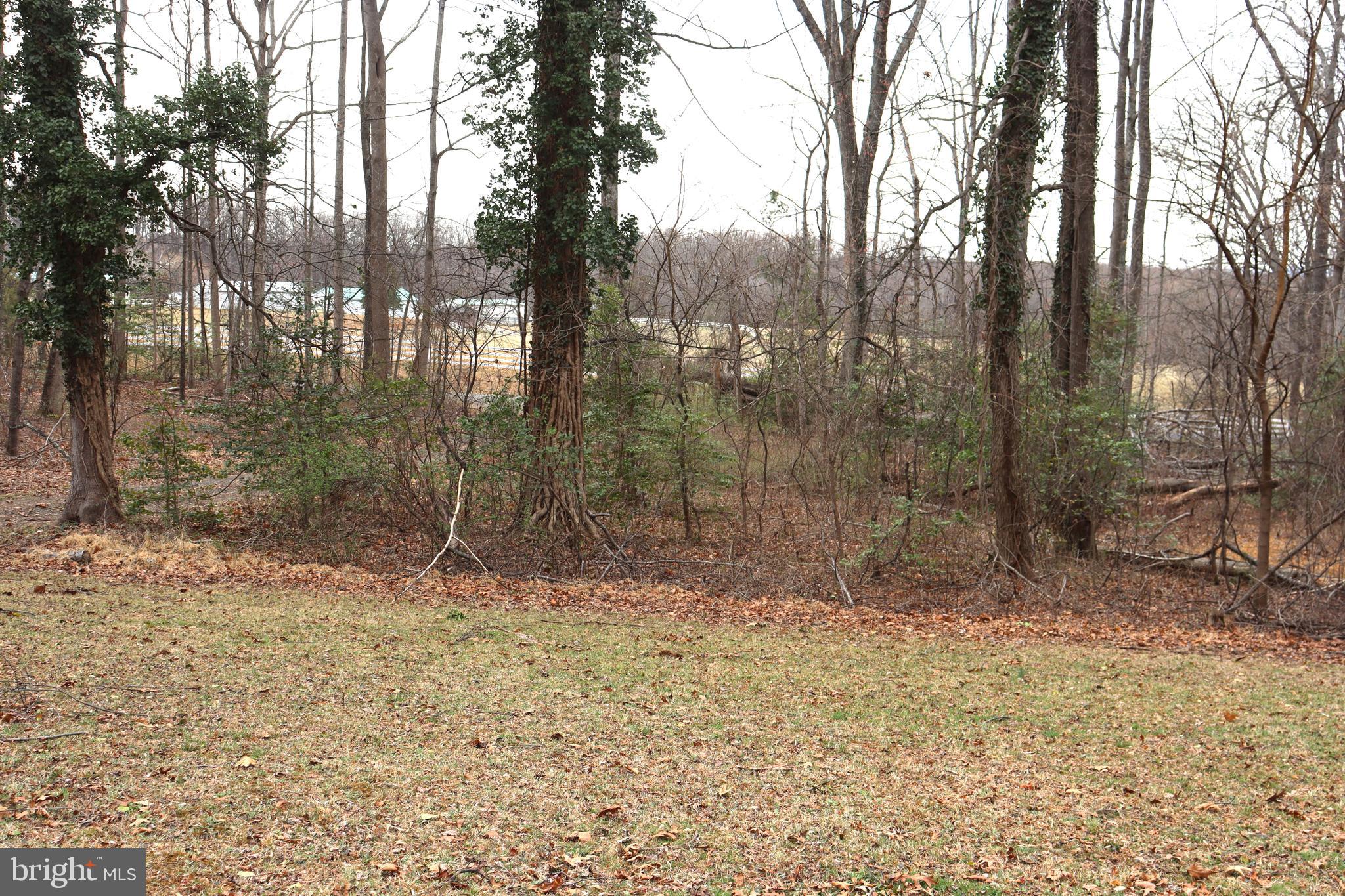 9305 Lees Ridge Road Warrenton, VA 20186 - Photo 35 of 40 From front porch