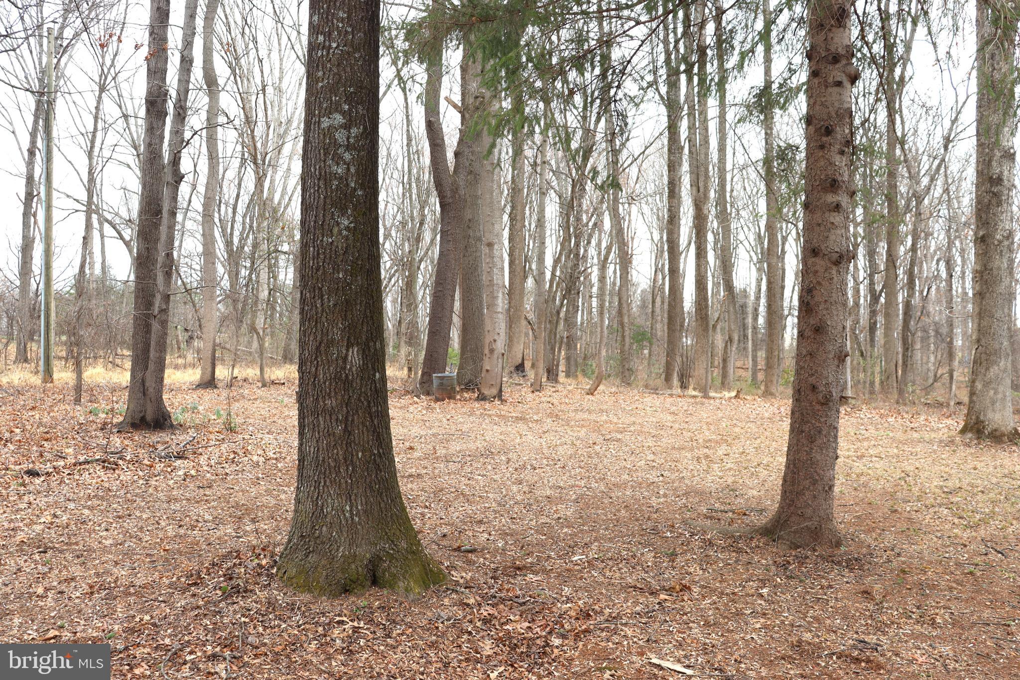 9305 Lees Ridge Road Warrenton, VA 20186 - Photo 36 of 40 Backyard