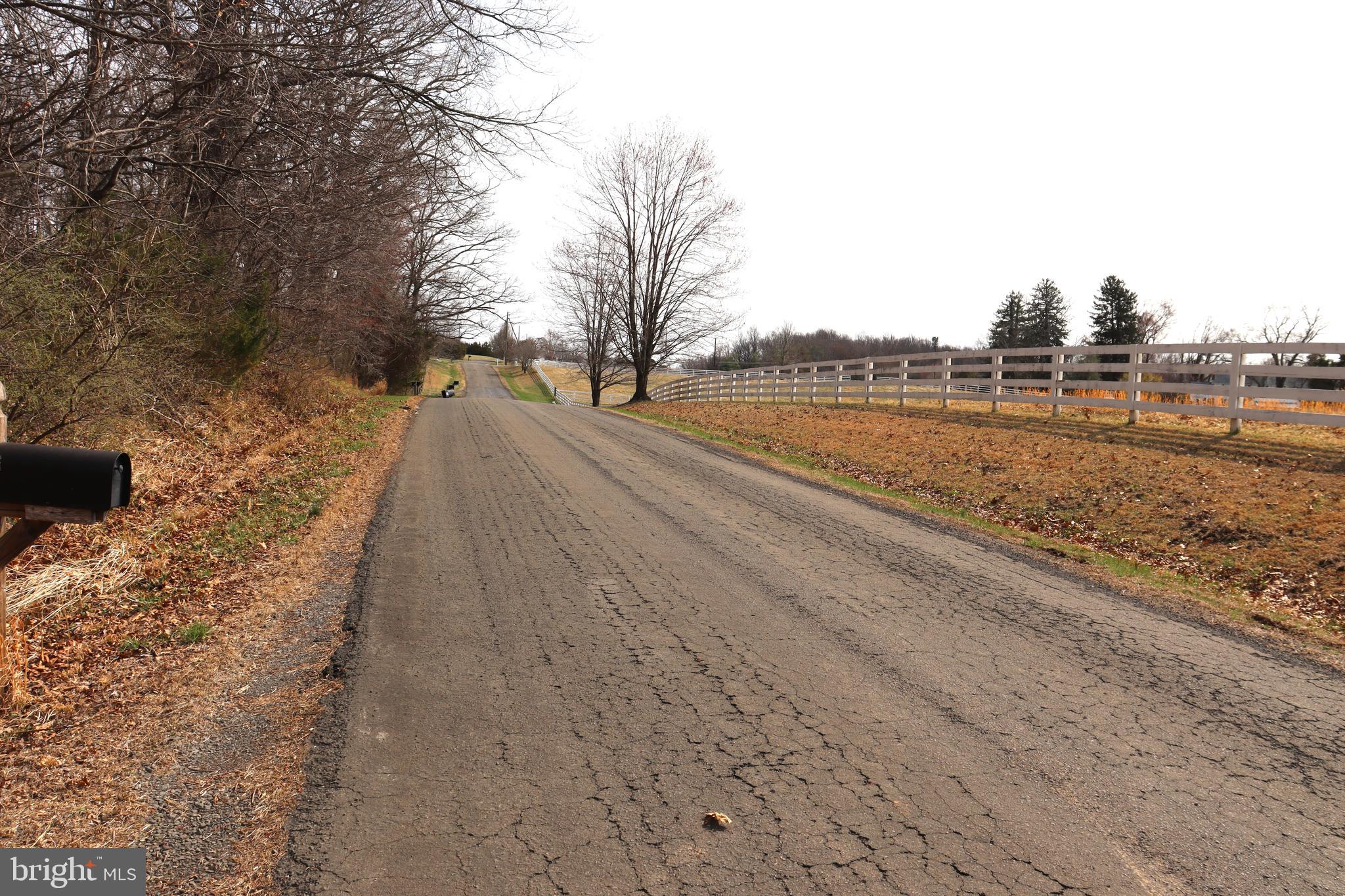 9305 Lees Ridge Road Warrenton, VA 20186 - Photo 37 of 40 Road frontage