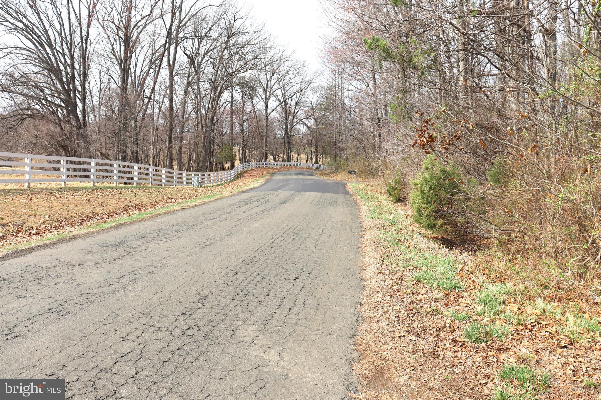 9305 Lees Ridge Road Warrenton, VA 20186 - Photo 38 of 40 Road Frontage