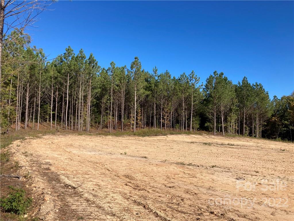 2851 Pilgrim Road, Unit A B & C Chester, SC 29706 - Photo 7 of 8 Gallery Image 7