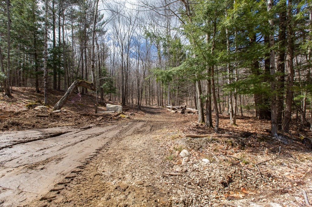 98 Middle Road Deerfield, NH 03037 - Photo 36 of 40