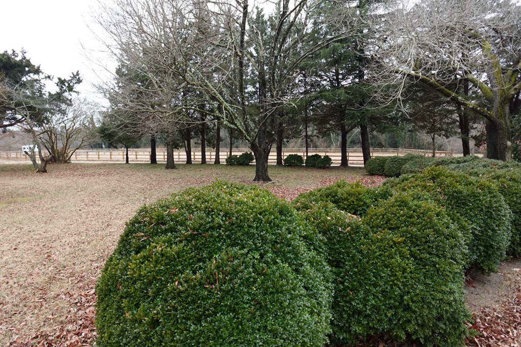 7337 Bayside Road Franktown, VA 23354 - Photo 40 of 82
