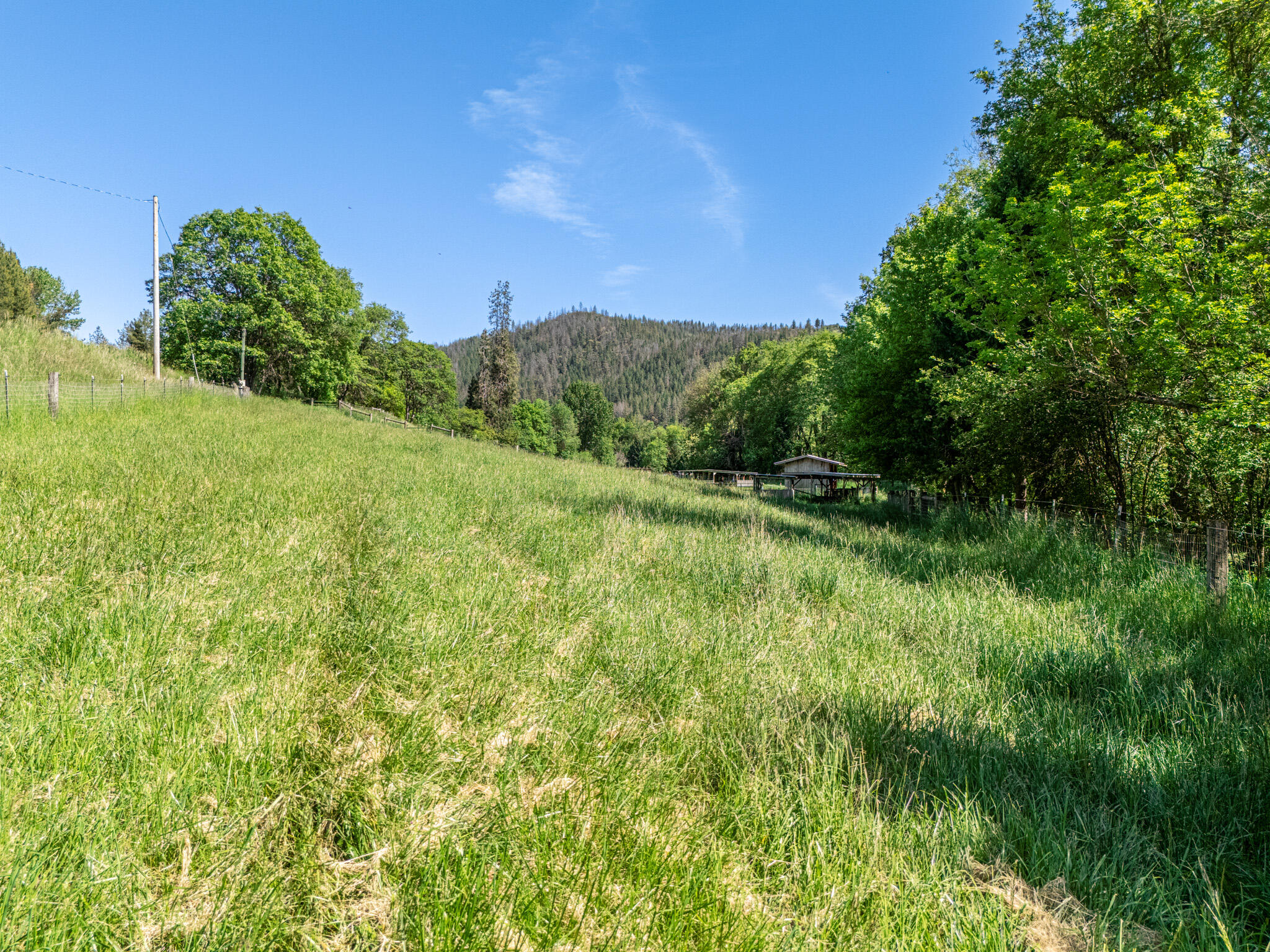 6180 Little Applegate Road Jacksonville, OR 97530 - Photo 9 of 59 DJI_20250520155519_0380_D-HDR
