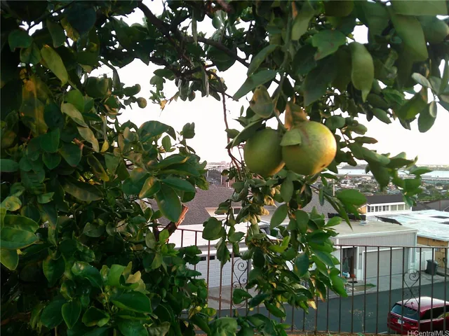 $3,800 | 98-506 Lulu Street, Unit 53, Aiea, HI 96701