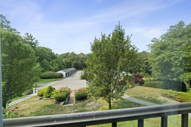 a view of a yard from a window