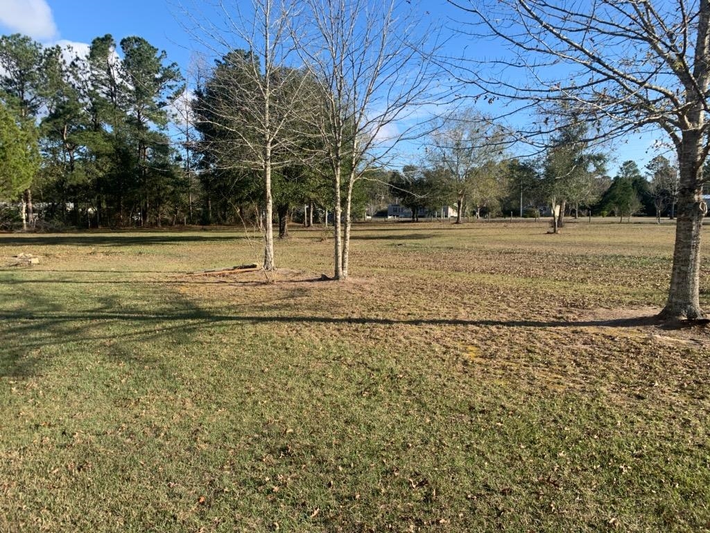 24851 Daw Road Elberta, AL 36530 - Photo 2 of 18