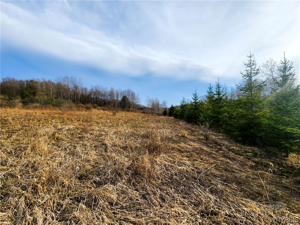 0 Quigg Hollow Road Andover, NY 14806 - Photo 11 of 19