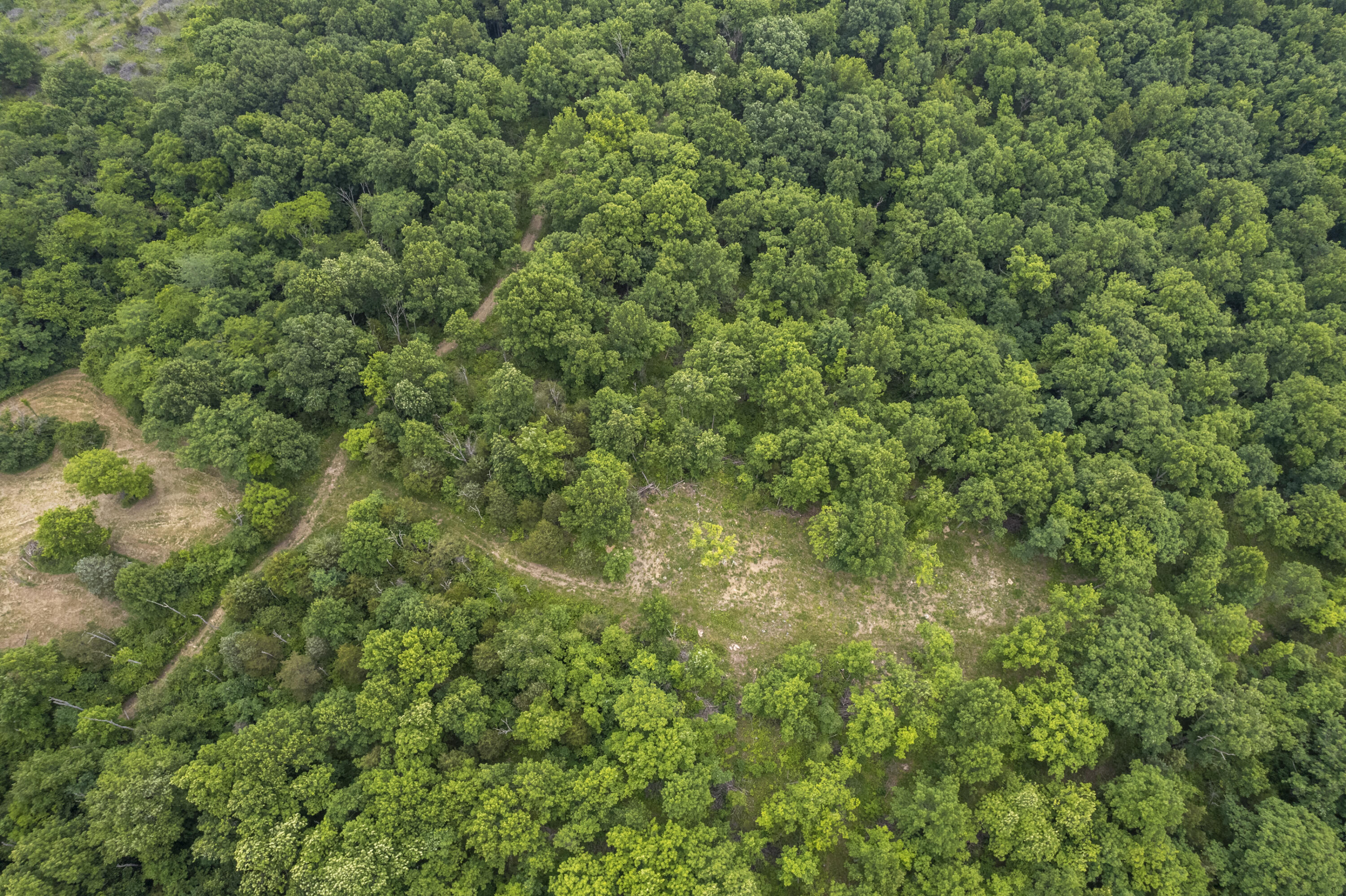 1100 Fairview Road Williamstown, KY 41097 - Photo 25 of 74 Falmouth-9