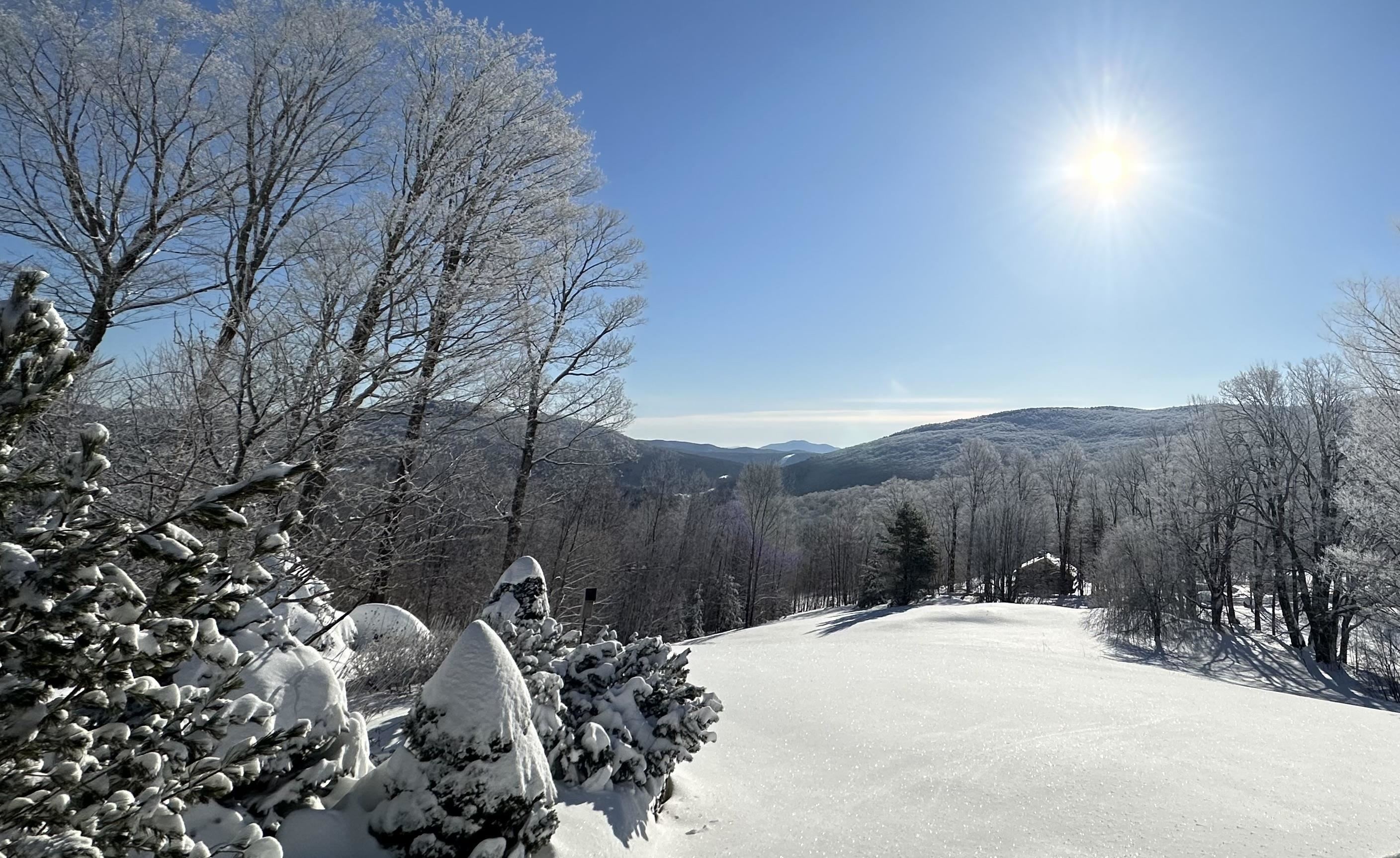 430 Fenn Road Mount Holly, VT 05758 - Photo 57 of 60 Gallery Image 57