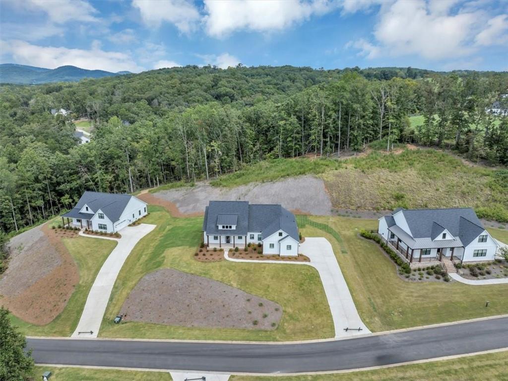 354 Oxford Road Ball Ground, GA 30107 - Photo 46 of 48 a view of a swimming pool with a yard