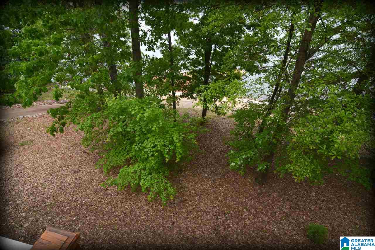 870 Black Acres Road Cropwell, AL 35054 - Photo 5 of 50