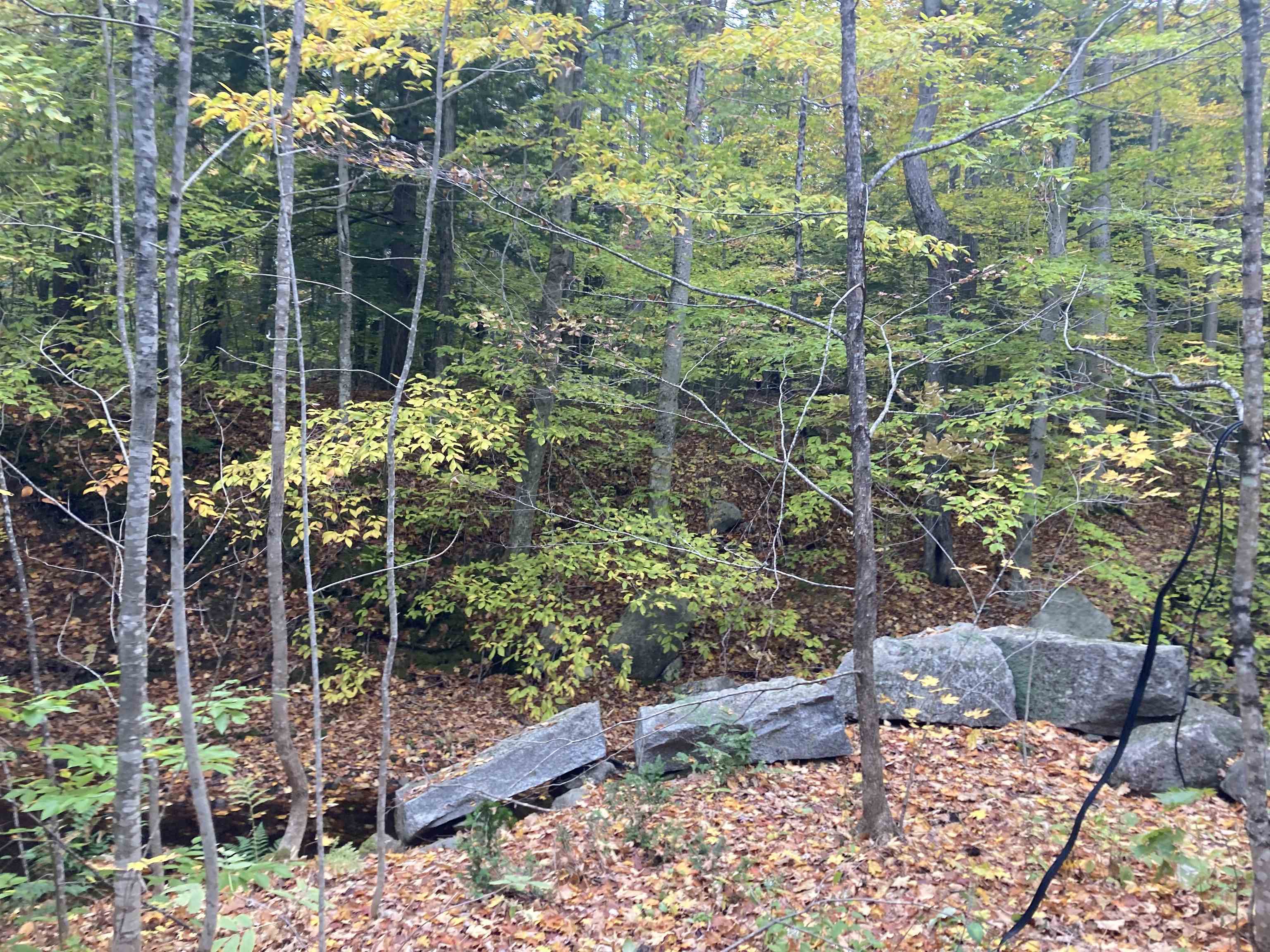 159 Deering Center Road Deering, NH 03244 - Photo 11 of 19