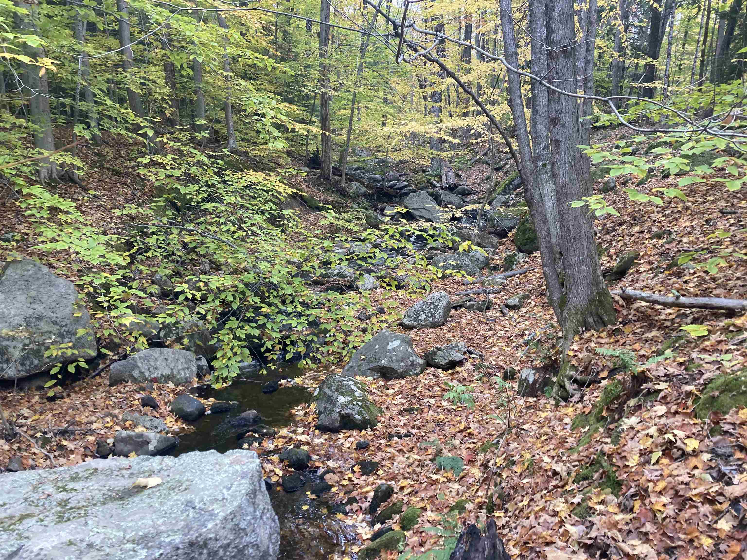 159 Deering Center Road Deering, NH 03244 - Photo 8 of 19