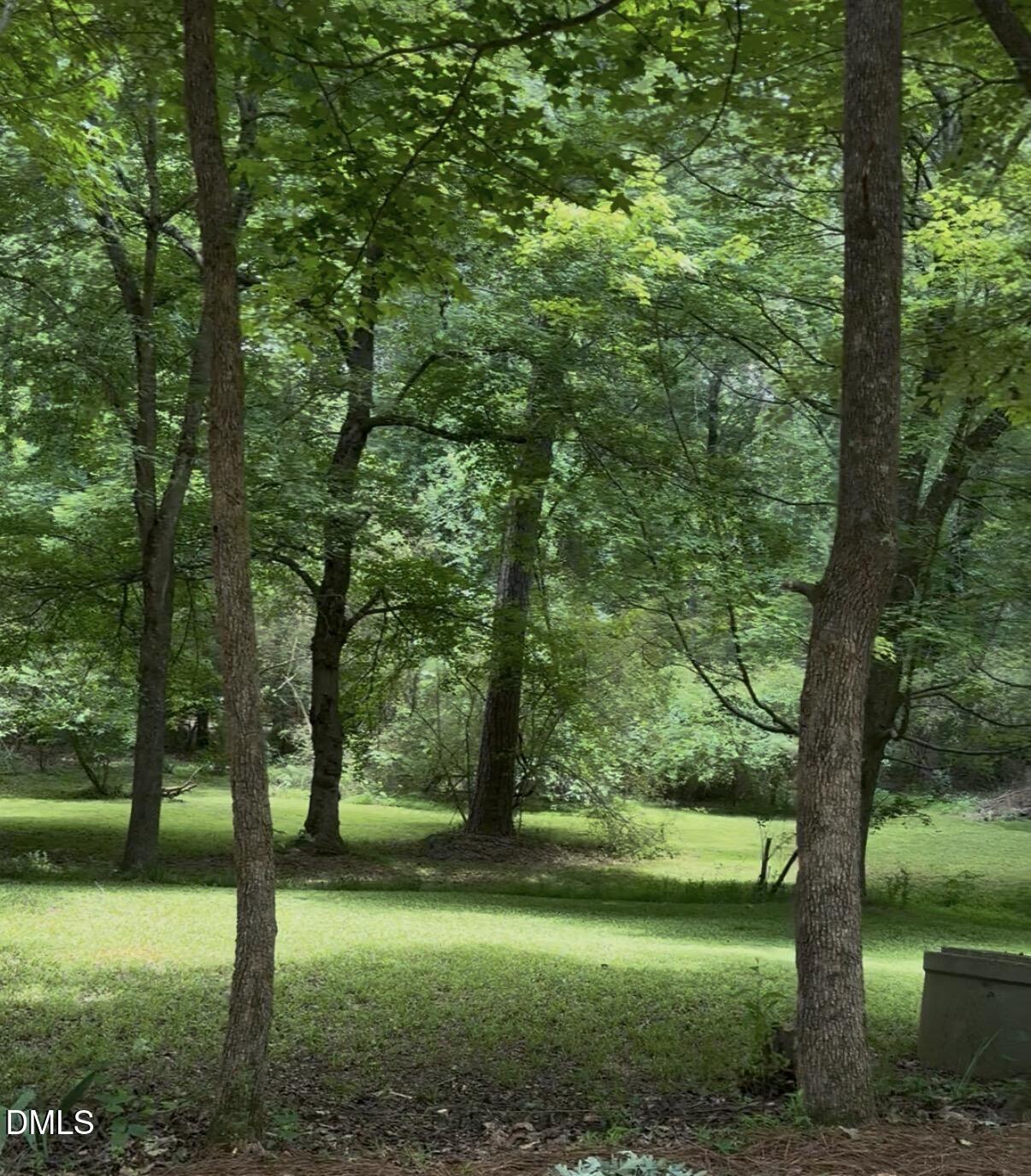 3109 Manor Ridge Drive Raleigh, NC 27603 - Photo 29 of 38 Side Yard