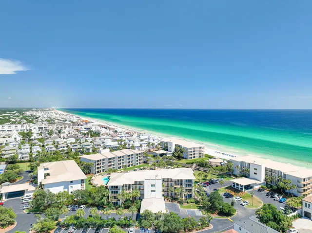 a view of a park with large trees