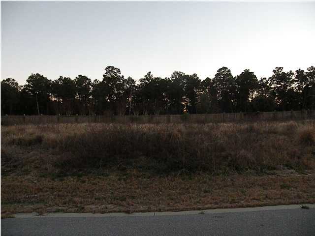N/a N/a Willow Mist Rd Inlet Beach Inlet Beach, FL 32461 - Photo 1 of 1 a view of a yard