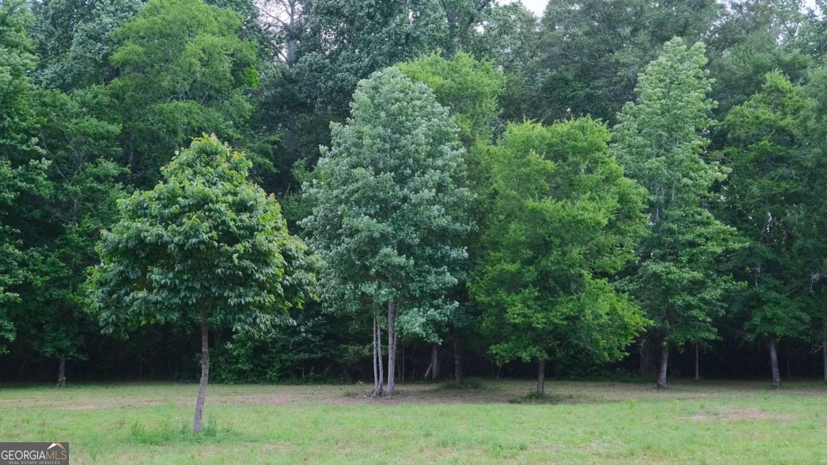 1455 Tappan Spur Road Watkinsville, GA 30677 - Photo 4 of 38
