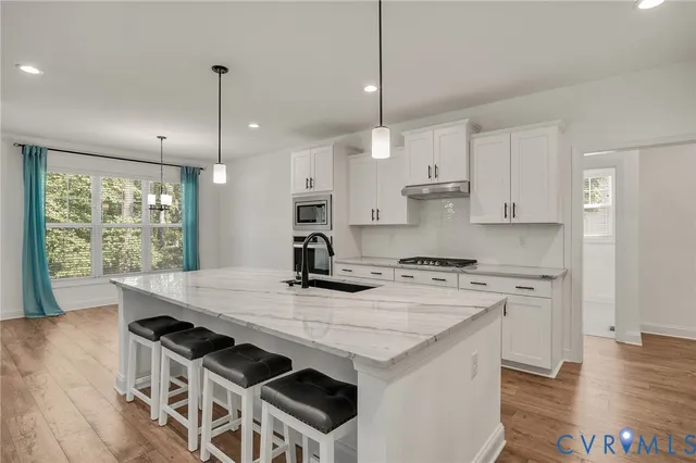 a kitchen with a sink potted plant and a window
