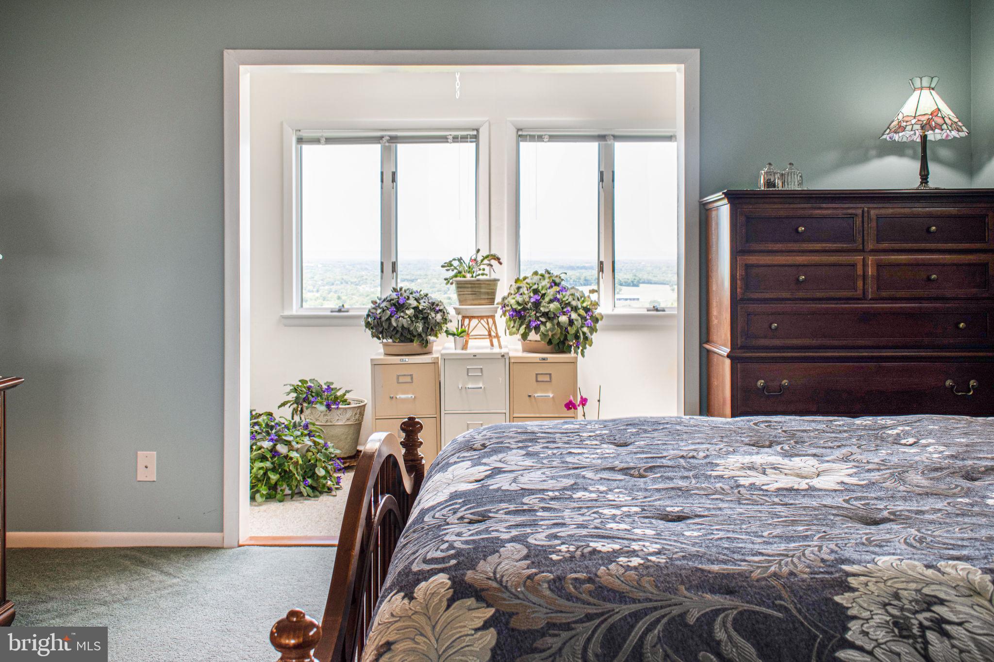 6010 Clevelandtown Road Boonsboro, MD 21713 - Photo 17 of 59 Master Bedroom