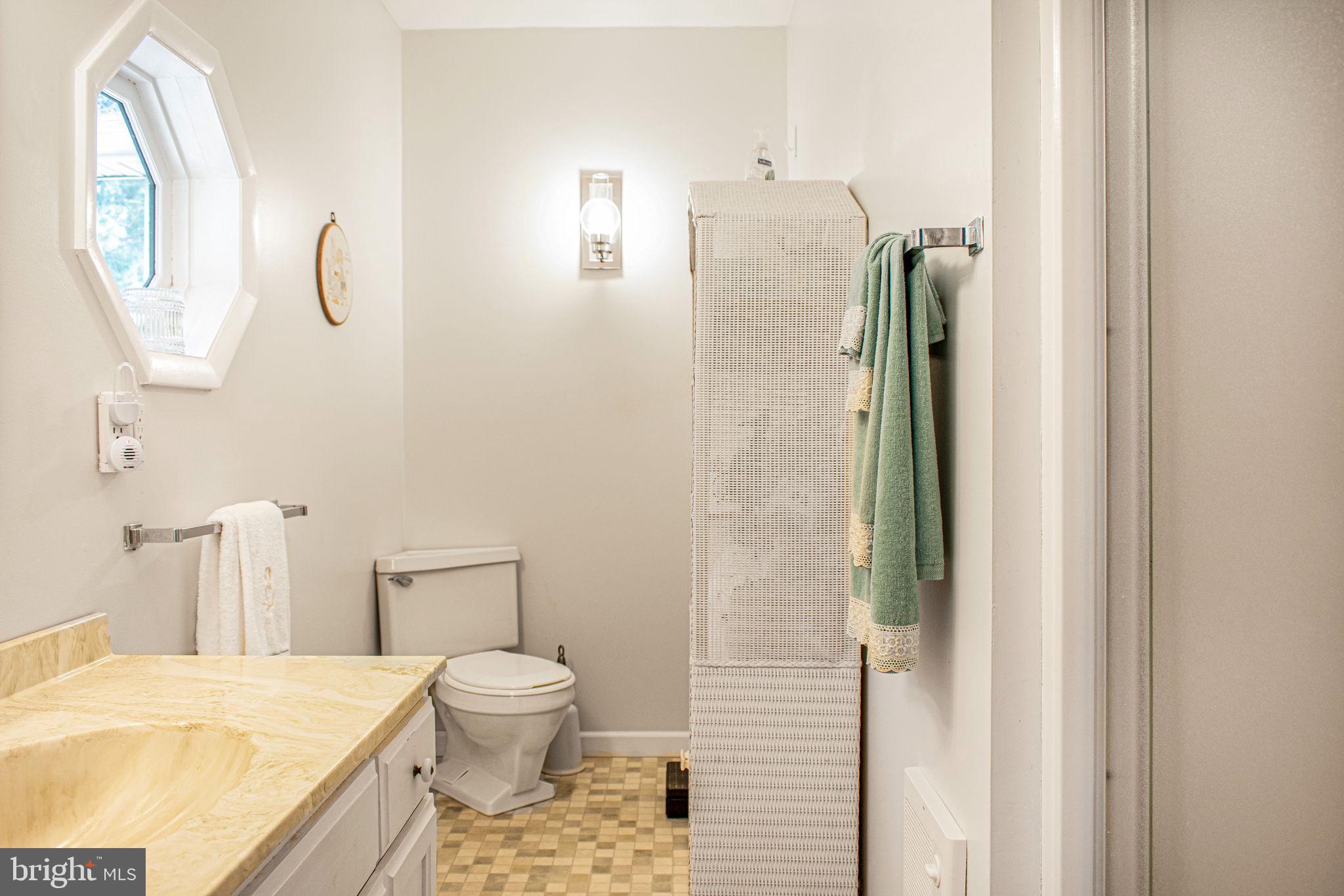 6010 Clevelandtown Road Boonsboro, MD 21713 - Photo 20 of 59 Master Bedroom Bathroom